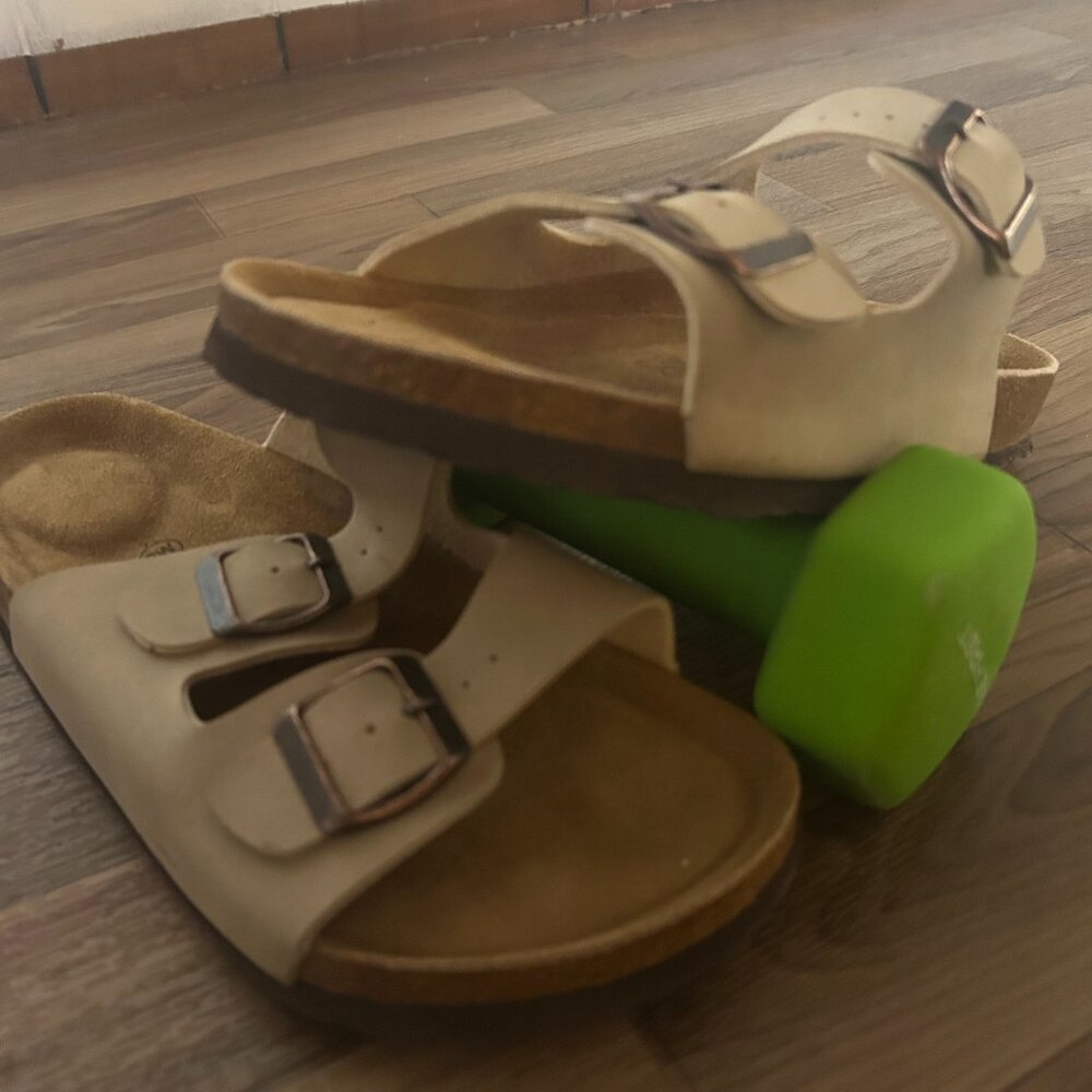 Tan Cushionaire Sandals (9W)